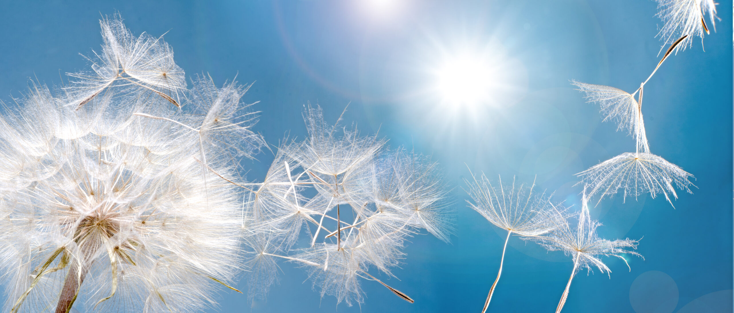 Photo of me as a mom